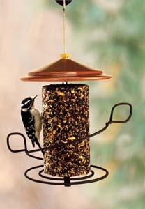 Decorative Seed Cylinder