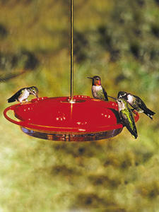 Large hummingbird feeder Large hummingbird feeder