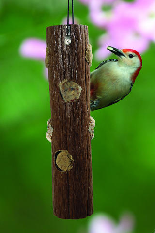 Wild Birds Unlimited on Wild Birds Unlimited   Recycled Plastic Log Suet Feeder   Glenview  Il